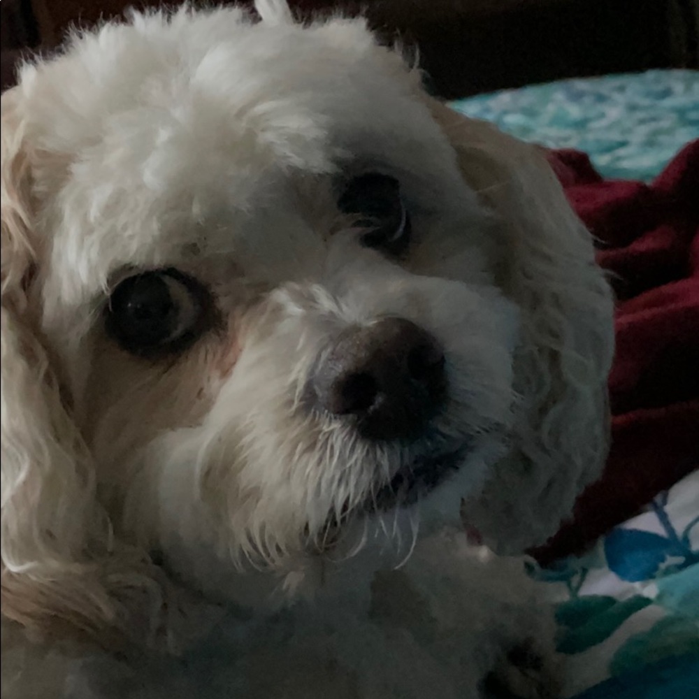 Meet your Posher, Mary